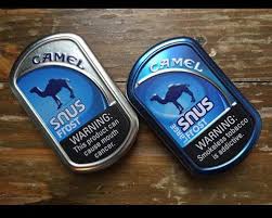 But smoking, which lets nicotine quickly enter the bloodstream through the sensitive lining of the. Fda S Scientific Advisory Committee Advances Modified Risk Classification For Camel Snus Convenience Store News
