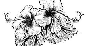 Resultat De Recherche D Images Pour Dessin Fleurs Dessin Fleur Fleurs Anciennes Dessin