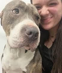 Experienced Veterinarians