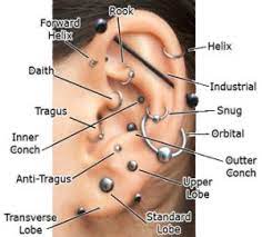 Popular Ear Piercing Types Types Of Ear Piercings Piercings For Girls Cool Ear Piercings