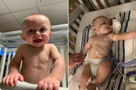 When i lecture at a medical conferences about herpes i however, if the partner is positive for the same herpes virus, then the medications might not be needed. Mom Warns Against Kissing Babies After Child Sickened With Scary Virus
