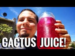 Amaretto almond liqueur, sweet and sour mix. Making Prickly Pear Cactus Fruit Juice Its The Quenchiest Youtube