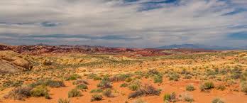 The sight of punderson manor lodge and conference center is like that of a fairytale cottage. Top 18 Cabins In Possum Kingdom Lake