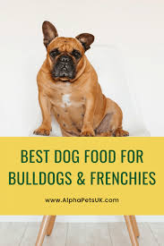 The best food for french. The Best Food For My French Bulldog Puppy Best Dog Food For Frenchies With Sensitive Stomachs Alpha Pets Uk