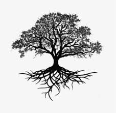 Vintage black pine tree silhouette with mountain river. Oak Silhouette Tree Drawing Trees Free Download Png Tree Roots Tattoo Png Image Transparent Png Free Download On Seekpng