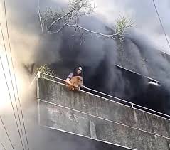 A brave pet owner r'isked her life to save her dog during a f'ire in Sto, Mandaue City. As flames spread, she guided her pet from the third floor while people below
