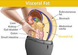 How To Get Rid Of Love Handles - The Ultimate 4-Step Plan