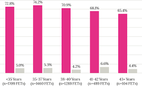 fertility success rates iui embryo transfer and more ccrm