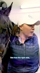 FEI World Cup Grand Prix Freestyle Sept 30th at Dressage at Devon.  Stephanie, Liz, Sara, and Dr Keane had a night out with good food and super  riding. Thank you to Hagyard