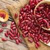 Nut, beans, soybean, gram dal, chickpea, toor dal, splitpeas, deez nuts, split pea. Https Encrypted Tbn0 Gstatic Com Images Q Tbn And9gcq5yxpgpusmx9w7fypkkmeiyvvpj Df5v5kpz3idqyegiyozju Usqp Cau