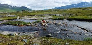 Maybe you would like to learn more about one of these? Kungsleden Trail Sweden Embark Org