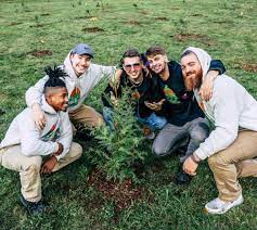 Pewdiepie Surprised By Mr Beast S Team Trees Planting Update Dexerto