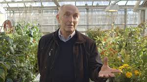 Ladnik and kuvshinka on video. Vaclav Smil How Much Meat Should We Be Eating Youtube