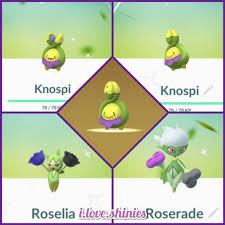 It evolves from budew when leveled up with high friendship during the day and evolves into roserade when exposed to a shiny stone. Pokemon Budew Knospi Roselia Roserade Rose Black Blackrose Violet Violetrose Pokedex Pokemongo Letsgo L Friendship Gifts Niantic Friend Friendship