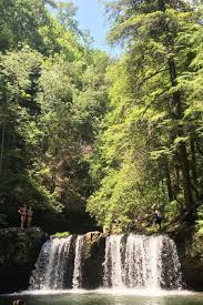 How To Hike The Fiery Gizzard Trail In Tracy City Tennessee Tattling Tourist Camping Places Swimming Holes Tennessee Vacation