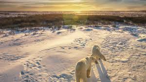 The legislative assembly of manitoba assemblée législative du manitoba. Climate Manitoba Snow Sure Best Time To Visit Weather