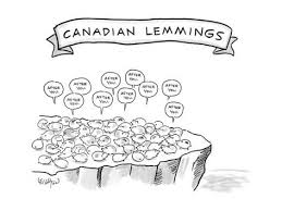 A Bunch Of Lemmings On A Cliff Saying After You By Robert Leighton Canada Funny Meanwhile In Canada New Yorker Cartoons