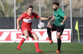 Pagesbusinessessports & recreationsports & fitness instructioncoachzlatko dalić. Linksverteidiger Des Vfb Stuttgart Borna Sosa Auf Dem Sprung In Die Startelf Vfb Stuttgart Stuttgarter Nachrichten