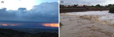(context meteorology english) a powerful downward air current, especially one during a thunderstorm. Downbursts An Overview Sciencedirect Topics