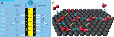 Check spelling or type a new query. Biomass Derived Hierarchical Porous Carbon Materials As Oxygen Reduction Reaction Electrocatalysts In Fuel Cells Sciencedirect