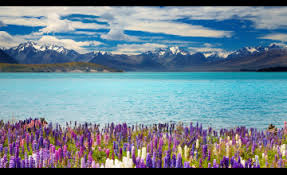 * provides a preview of the image before being used as wallpaper. 40 Spring Scenery Wallpaper On Wallpapersafari