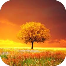 This is an adventure puzzle game. Awesome Land Pro Livewallpaper V3 1 4 Apk Latest Hostapk