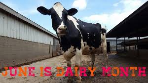 Profile for Badeland Dairy