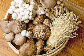 If you choose to grow mushrooms in your. 11 Of The Best Mushroom Kits To Grow Your Own Gardener S Path