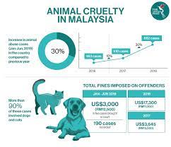 Animal abuse does not only hurt animals; Animal Cruelty On The Rise In Malaysia The Asean Post