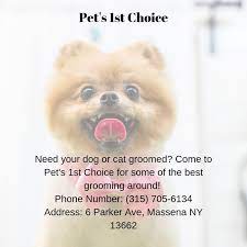 pet s 1st choice pet 1 cat grooming pets