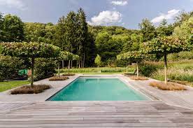 jardin prive piscine perspective terrasse en bois platanes tailles en plateau piscine jardin prive terrasse bois