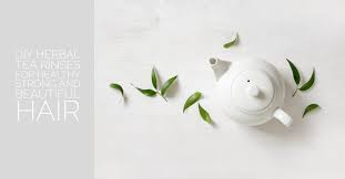 It surely helps in hair growth and also prevents you in getting grey hairs. Diy Herbal Tea Rinses For Healthy Strong And Beautiful Hair