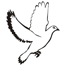 It was then eventually put in as tattoo design. Flying Dove With Black Wing And Tail Tattoo Design Tattooimages Biz