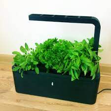 Click And Grow Low Maintenance Indoor Vegetable And Herb Garden Indoor Herb Garden Herb Garden Kit Herbs Indoors