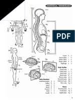 Human anatomy coloring book contains careful, scientifically accurate line renderings of the body's organs and major systems: Human Anatomy Coloring Book Pdf