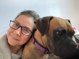 Lost female boxer Duchess, microchipped, in Bryam area