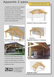 appentis 2 pans appentis abri camping car charpente bois