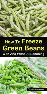 How To Freeze Green Beans With And Without Blanching Frozen Green Beans Green Beans Freeze Greens