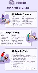 In addition to the core obedience training, your dog will learn one of the following behaviors of your choosing: What You Need To Know Before Sending Your Dog For Training