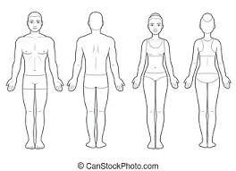 Human body outlines are available for pdf format. Male Body Type Chart Male Body Types Ectomorph Mesomorph And Endomorph Skinny Muscular And Fat Physique Isolated Vector Canstock