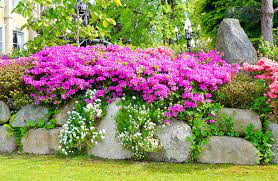 Services Elite Garden And Landscape