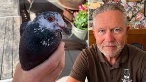 Paul Ahlgren's Instagram, Twitter & Facebook