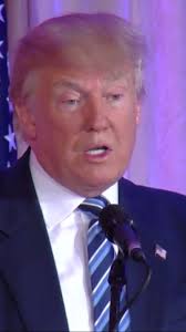 Former Floridian, winner of Apprentice, Kendra Todd says 'Trump' has her  vote