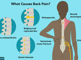 The gastrocnemius runs down the back of the lower leg, from the end of the femur to the heel bone, or calcaneus. Back Pain Causes Treatment And When To See A Doctor