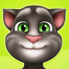 Meet Talking Tom
