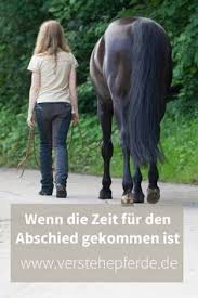 Mach S Gut Chefpferd Pferde