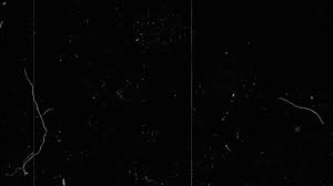 Pin On Overlays And Png