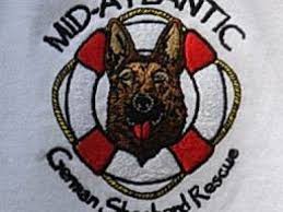 Brody is doing well in his foster home although becomes anxious when she is out of the room. Mid Atlantic German Shepherd Rescue Maryland Pet Guide