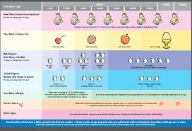 30 Average Baby Weight Chart Tate Publishing News