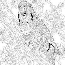 Coloring Pages For Adults Digital Coloring Page Budgie Etsy Bird Coloring Pages Animal Coloring Pages Coloring Books